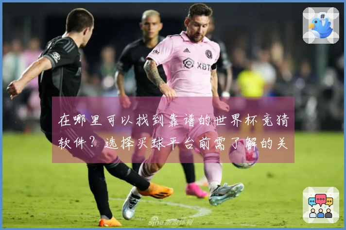在哪里可以找到靠谱的世界杯竞猜软件？选择买球平台前需了解的关键点