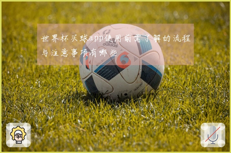 世界杯买球app使用前需了解的流程与注意事项有哪些