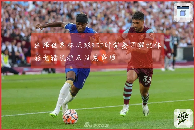 选择世界杯买球app时需要了解的体彩竞猜流程及注意事项