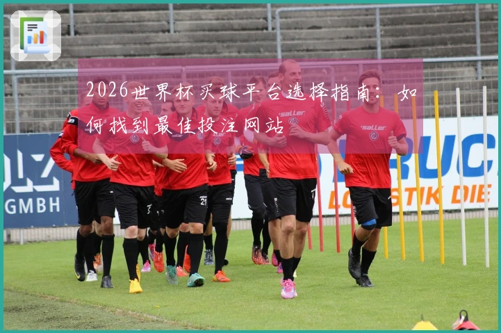 2026世界杯买球平台选择指南：如何找到最佳投注网站