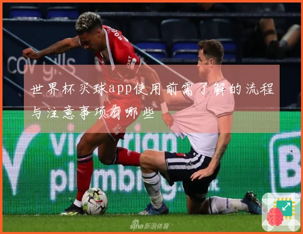 世界杯买球app使用前需了解的流程与注意事项有哪些