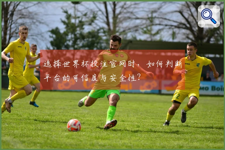 选择世界杯投注官网时，如何判断平台的可信度与安全性？