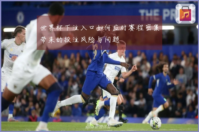 世界杯下注入口如何应对赛程密集带来的投注风险与问题