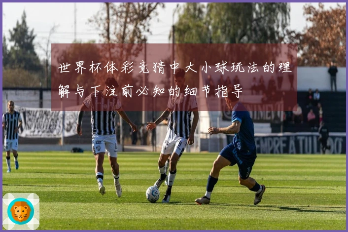 世界杯体彩竞猜中大小球玩法的理解与下注前必知的细节指导