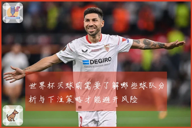 世界杯买球前需要了解哪些球队分析与下注策略才能避开风险