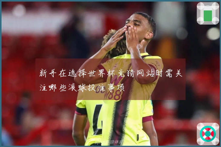 新手在选择世界杯竞猜网站时需关注哪些滚球投注事项