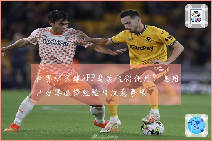 世界杯买球APP是否值得使用？老用户分享选择经验与注意事项