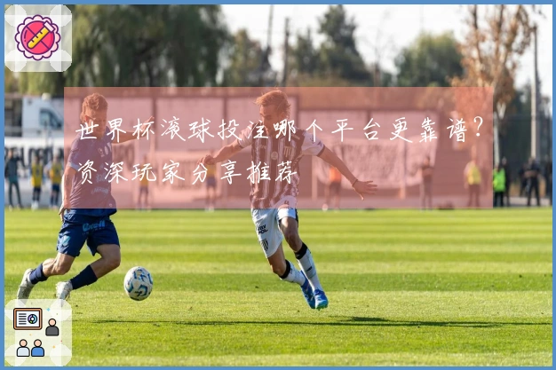 世界杯滚球投注哪个平台更靠谱？资深玩家分享推荐