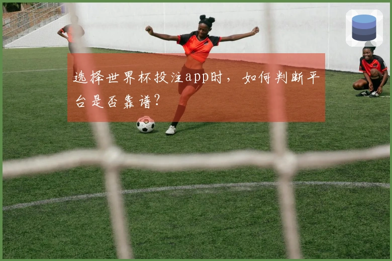 选择世界杯投注app时，如何判断平台是否靠谱？