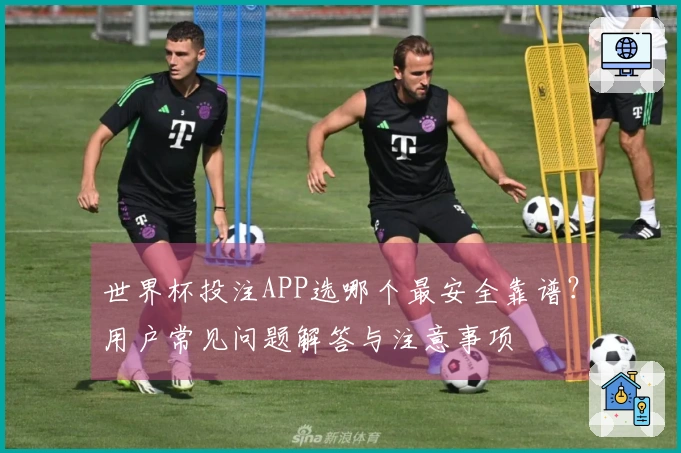 世界杯投注APP选哪个最安全靠谱?用户常见问题解答与注意事项