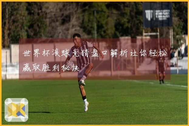 世界杯滚球竞猜盘口解析让你轻松赢取胜利秘诀