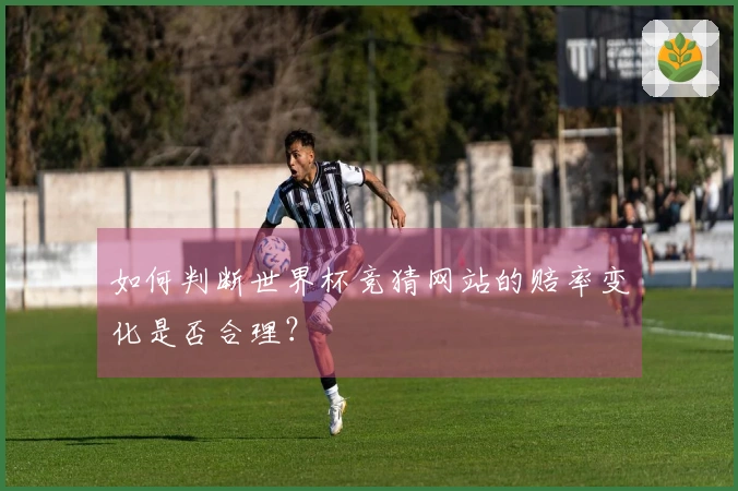 如何判断世界杯竞猜网站的赔率变化是否合理？