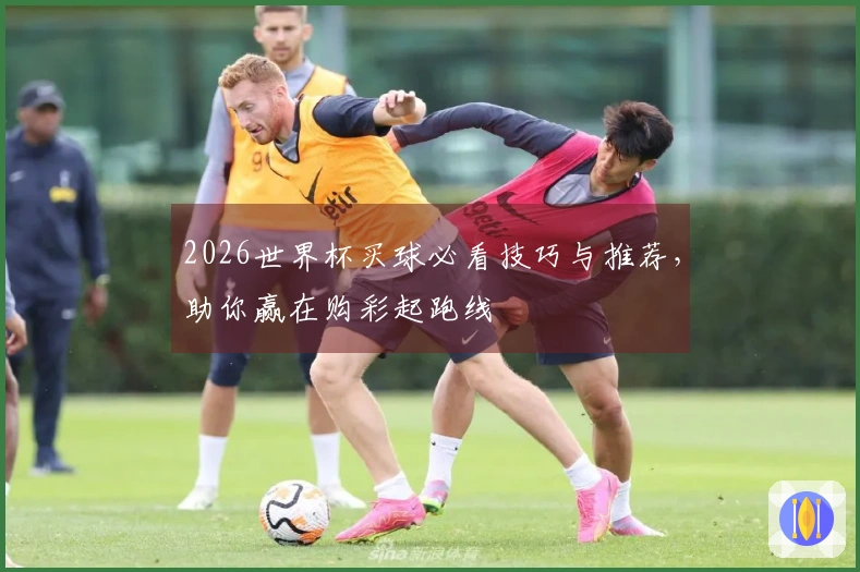 2026世界杯买球必看技巧与推荐，助你赢在购彩起跑线