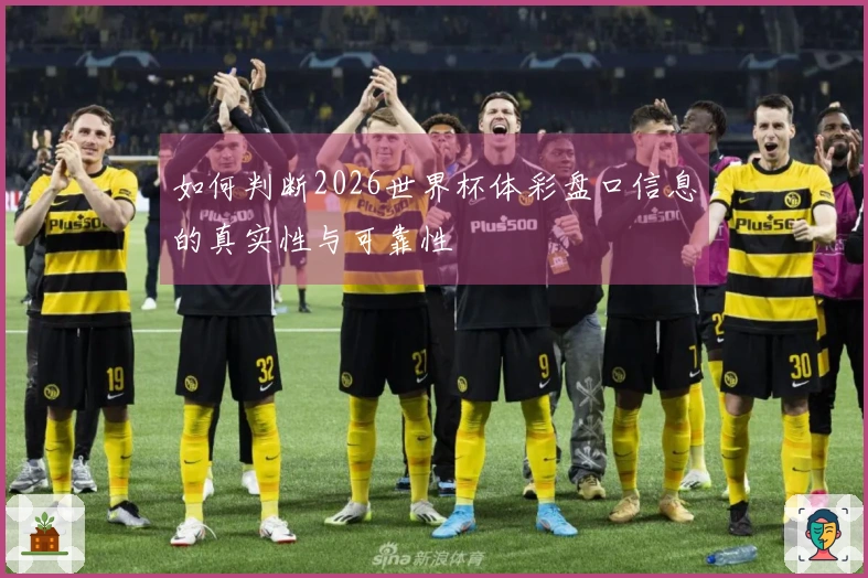 如何判断2026世界杯体彩盘口信息的真实性与可靠性
