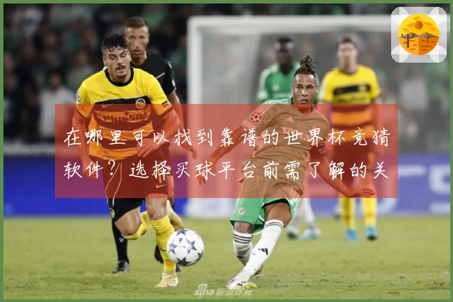 在哪里可以找到靠谱的世界杯竞猜软件？选择买球平台前需了解的关键点